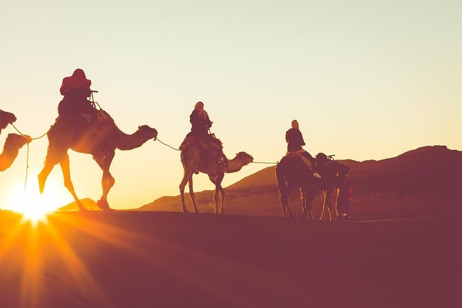 Sunrise Camel Ride